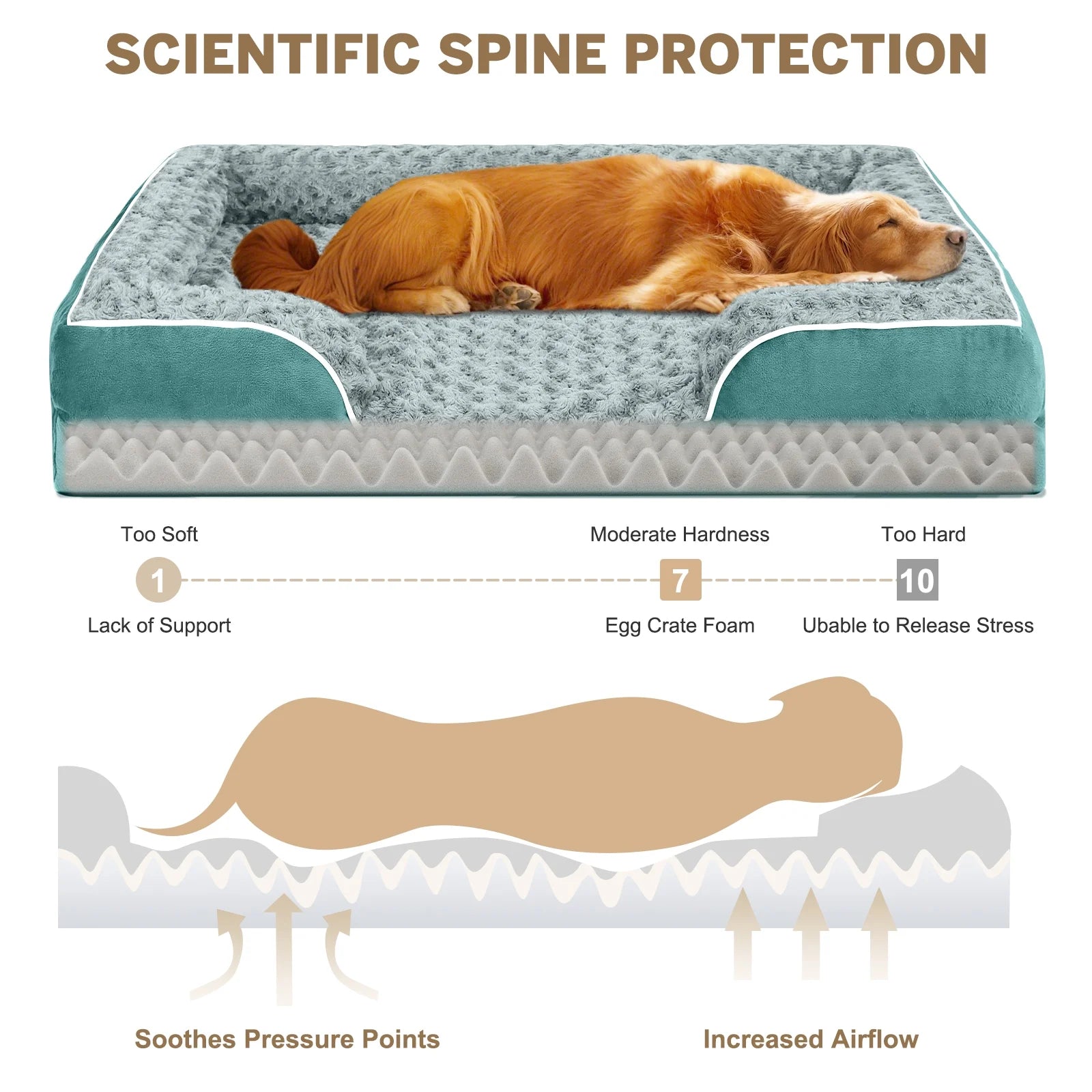 Orthopedic Waterproof Dog Bed with Removable Washable Cover Supportive Foam M to XXL