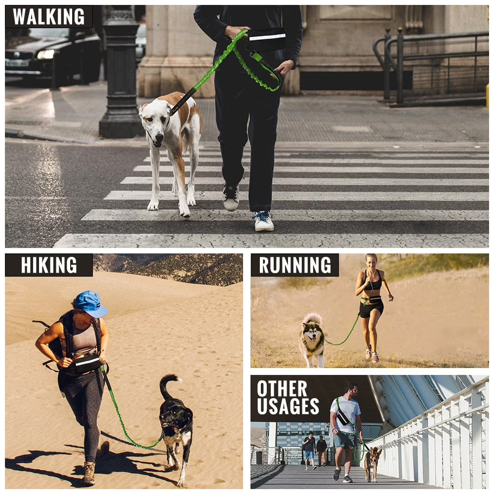 Hands Free Dog Leash, for Medium/Large Dogs
