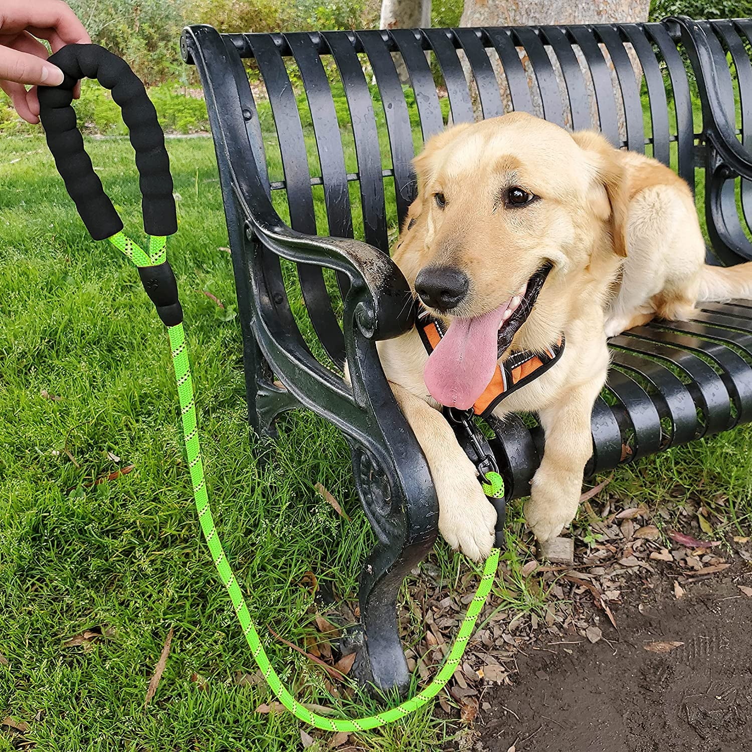 Reflective Strong Rope Dog Leash (5 FT)GREEN