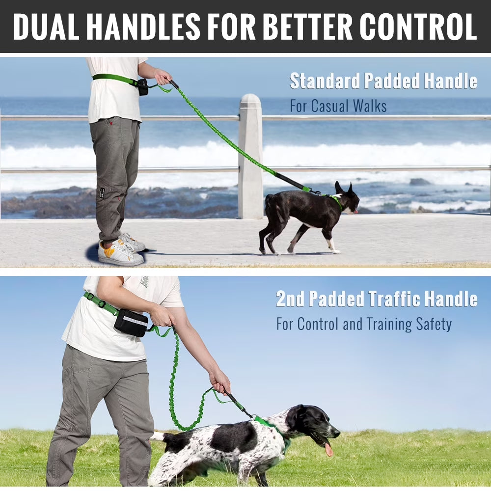 Hands Free Dog Leash, for Medium/Large Dogs